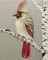 Acrylic Painting: A stoic Cardinal on her favorite perch. product 1